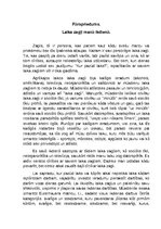 Eseja 'Laika zagļi', 1.