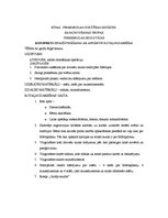 Prakses atskaite 'Pirmsskolas skolotāja prakse', 5.