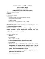 Prakses atskaite 'Pirmsskolas skolotāja prakse', 6.