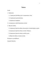 Referāts 'Iepakojuma depozīta sistēmas iespējas un draudi', 1.