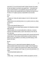 Referāts 'Iepakojuma depozīta sistēmas iespējas un draudi', 24.