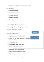 Prakses atskaite 'Dokumentu pakete iekšējā auditā', 7.