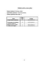 Prakses atskaite 'Dokumentu pakete iekšējā auditā', 23.