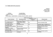 Prakses atskaite 'Dokumentu pakete iekšējā auditā', 25.