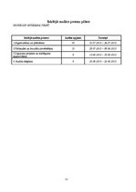 Prakses atskaite 'Dokumentu pakete iekšējā auditā', 32.