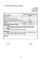 Prakses atskaite 'Dokumentu pakete iekšējā auditā', 42.