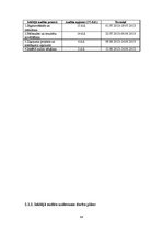 Prakses atskaite 'Dokumentu pakete iekšējā auditā', 48.