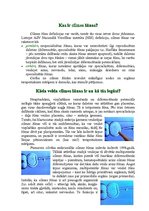 Referāts 'Cilmes šūnu pētījumi un to pielietošanas perspektīvas medicīnā', 3.