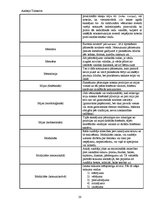 Konspekts 'Valodniecības terminu vārdnīca', 20.