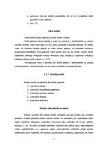 Diplomdarbs 'Ilgtermiņa kredītu attīstība', 11.