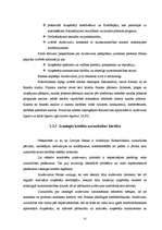 Diplomdarbs 'Ilgtermiņa kredītu attīstība', 22.