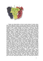 Biznesa plāns 'Vīnogu un vīnkoku stādu audzēšana', 8.