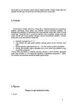 Biznesa plāns 'Vīnogu un vīnkoku stādu audzēšana', 9.