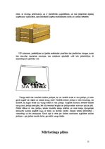 Biznesa plāns 'Vīnogu un vīnkoku stādu audzēšana', 15.