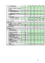 Biznesa plāns 'Vīnogu un vīnkoku stādu audzēšana', 26.