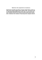 Biznesa plāns 'Vīnogu un vīnkoku stādu audzēšana', 29.