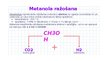 Prezentācija 'Metanols un Etanols', 5.