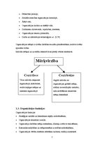 Referāts 'Organizācijas psiholoģija kā sociālās psiholoģijas vide', 7.