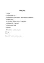 Referāts 'No spiričuela līdz džezam', 1.