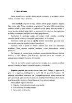 Referāts 'No spiričuela līdz džezam', 3.