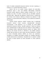 Referāts 'Dreiliņu dzīvojamā rajona funkcionālā un arhitektoniskā attīstība', 13.