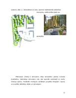 Referāts 'Dreiliņu dzīvojamā rajona funkcionālā un arhitektoniskā attīstība', 17.