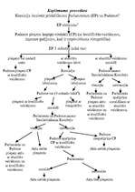 Konspekts 'Koplēmuma procedūra', 1.
