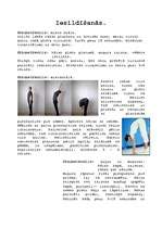 Konspekts 'Iesildīšanās', 1.