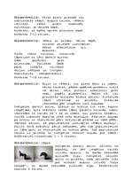 Konspekts 'Iesildīšanās', 3.