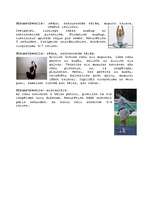 Konspekts 'Iesildīšanās', 4.