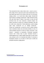 Referāts 'Radiācijas ietekme uz cilvēka veselību', 4.