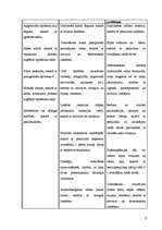 Referāts 'Medikamentozā aprūpe', 8.