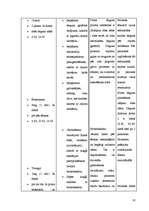 Referāts 'Medikamentozā aprūpe', 15.