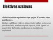 Prezentācija 'Ideāls uzņēmuma vadītājs', 10.