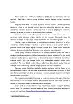 Diplomdarbs 'Laulības šķiršanas tiesiskie aspekti', 5.