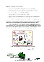 Referāts 'Trokšņa piesārņojums', 13.