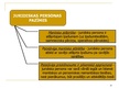 Prezentācija 'Juridiskās personas būtība un pazīmes', 18.