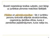 Prezentācija 'Juridiskās personas būtība un pazīmes', 20.