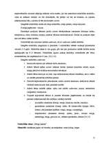 Referāts 'Iztēles pilveidošana 5-6 gadu vecuma bērniem vizuālās mākslas nodarbībās', 13.