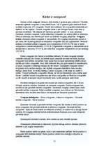 Referāts 'Gaismas avoti', 12.