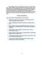 Referāts 'Gaismas avoti', 14.