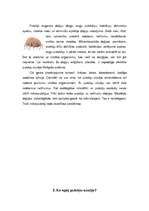 Referāts 'Putekļu sūcēji', 5.