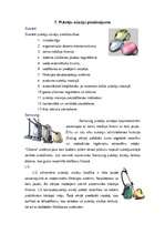 Referāts 'Putekļu sūcēji', 11.