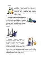 Referāts 'Putekļu sūcēji', 12.