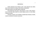 Referāts 'Maksājumu kartes', 2.