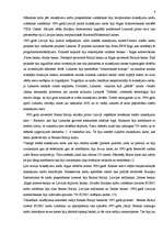 Referāts 'Maksājumu kartes', 9.