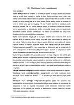 Referāts 'Maksājumu kartes', 13.