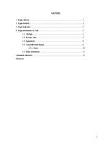 Referāts 'Rīga', 1.