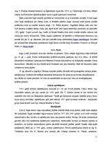 Referāts 'Rīga', 11.