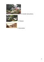 Referāts 'Rīga', 18.